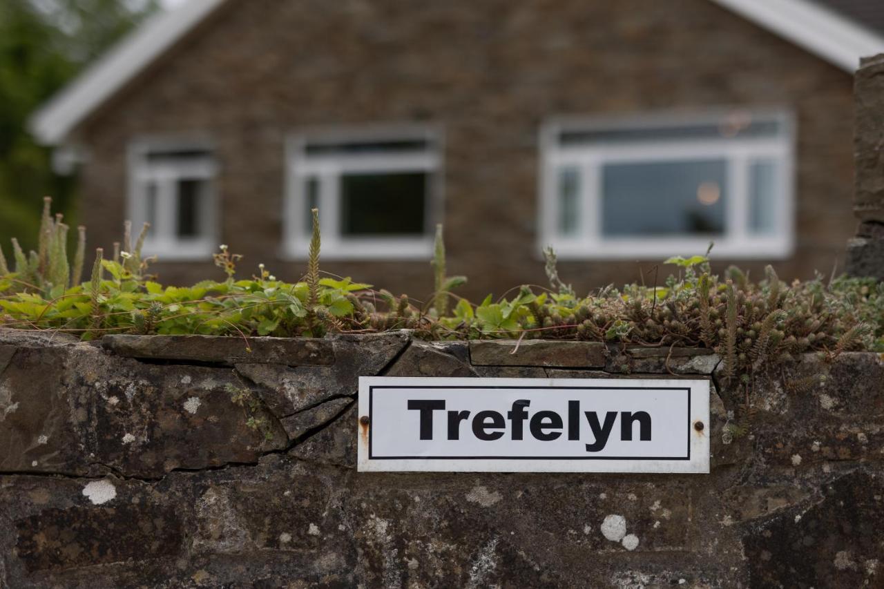 Trefelyn Cottage Saundersfoot Exteriör bild